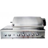 48 Inch Gas Grills with Double Side Burner